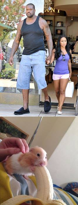 размер имеет значение.jpg