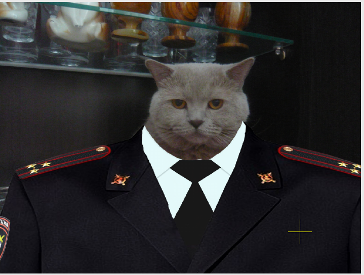 котэ.png