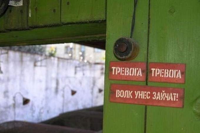 Тревога волк унёс зайчат.jpg