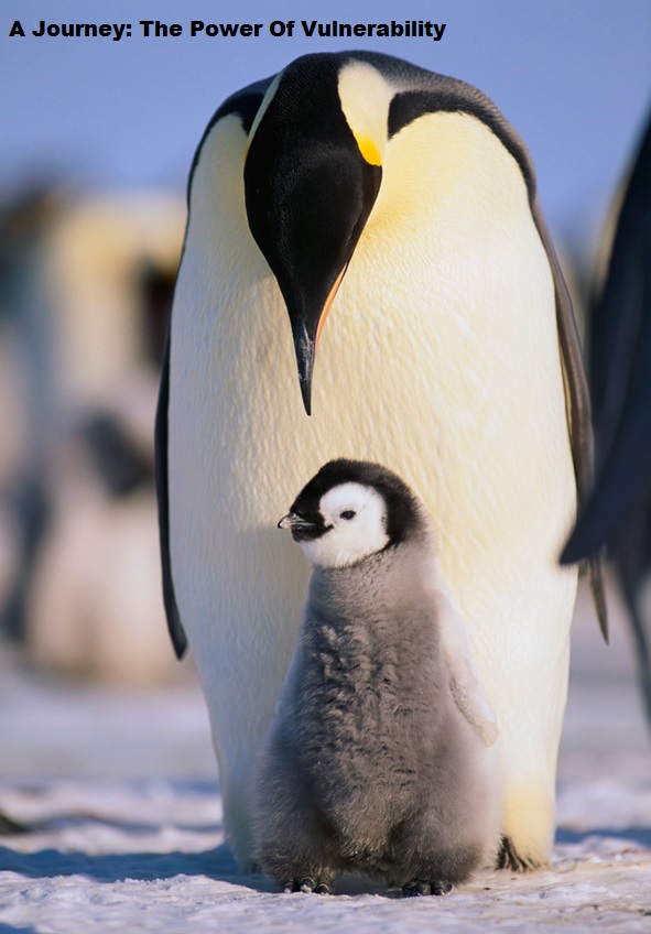 a-journey-the-power-of-vulnerability.jpg