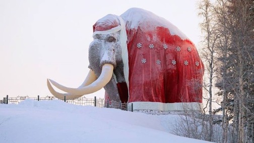 мамонт зимой.jpg