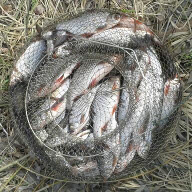 2017-03-25 12.26.20-1.jpg