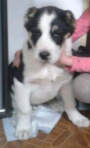 2017-04-20 16.05.33-1-1.jpg