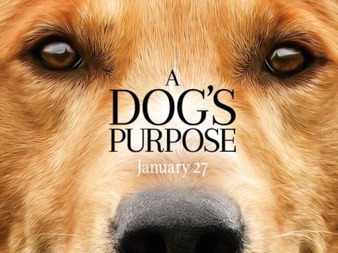 собачья жизнь.jpg