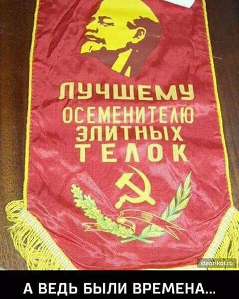 Лучшему осеменителю.jpg