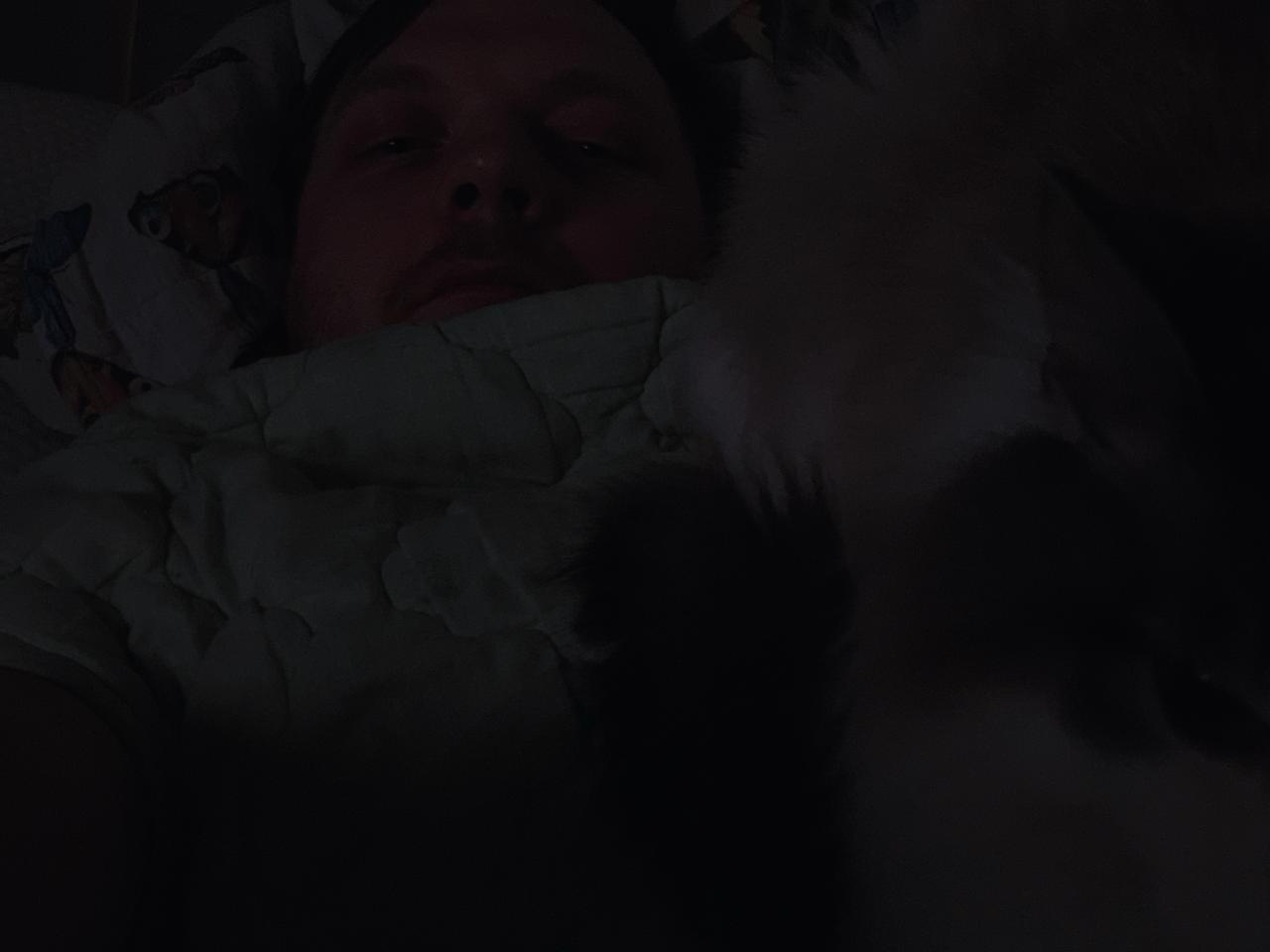 Изображение WhatsApp 2024-02-18 в 20.12.25_dd28eb2b.jpg