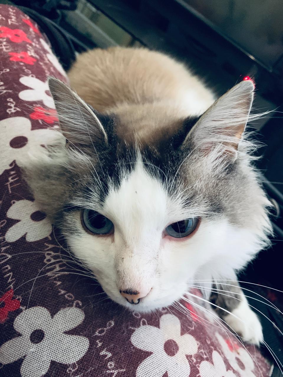 Изображение WhatsApp 2024-02-19 в 06.23.54_09483696.jpg