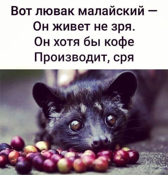 Смысл жЫзни))).jpg