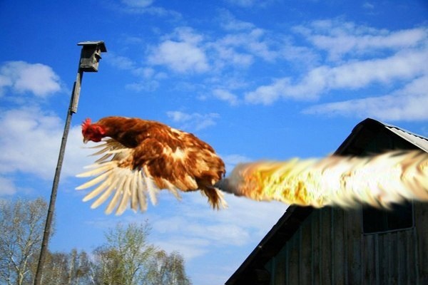 scale_1200 (19).jpeg