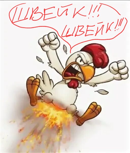 scale_1200 (34).jpeg